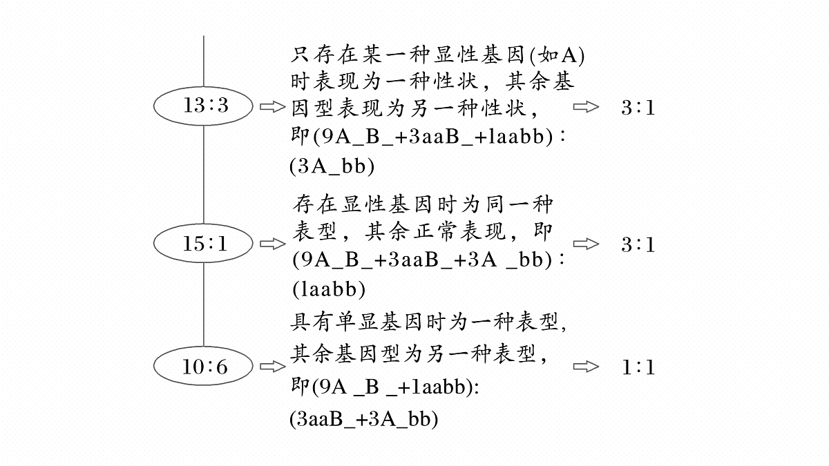 17534737第6页