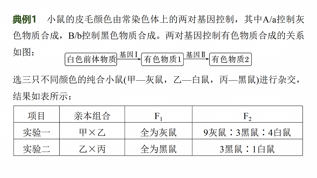 17534737第7页