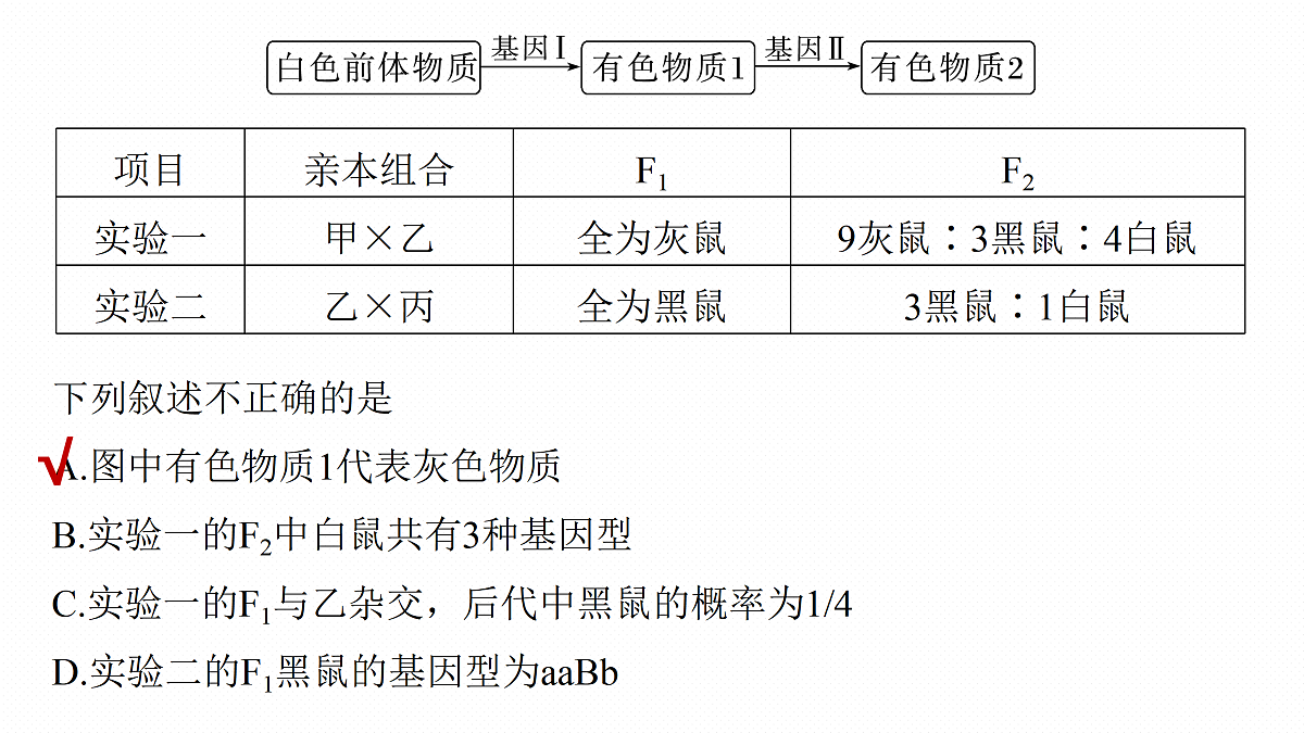 17534737第8页