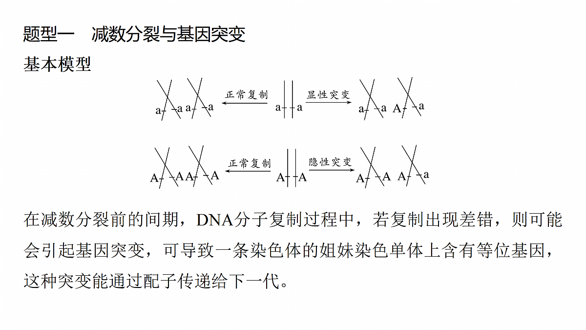 17534743第4页