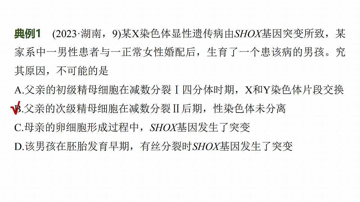 17534743第5页