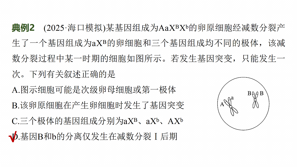 17534743第7页