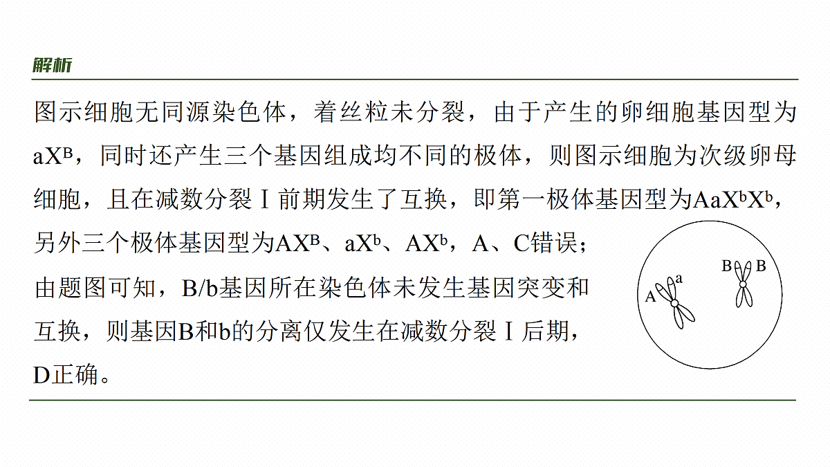 17534743第8页