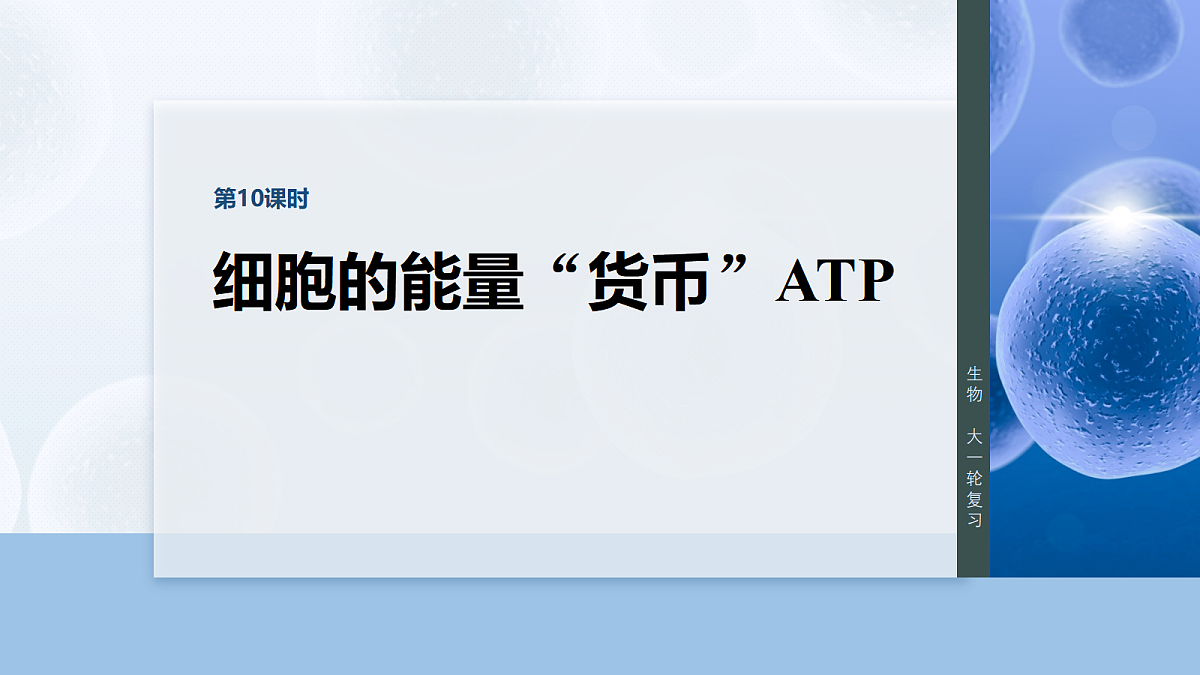 17534751第1页