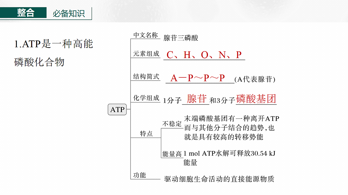 17534751第4页
