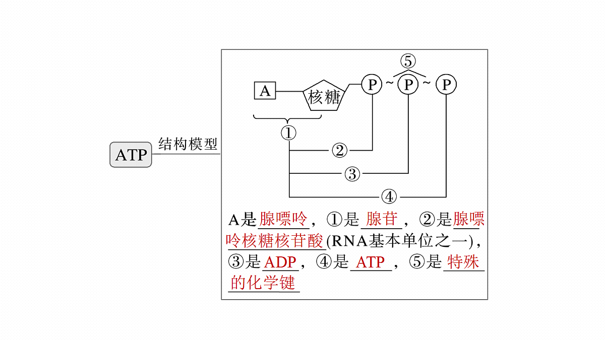 17534751第5页