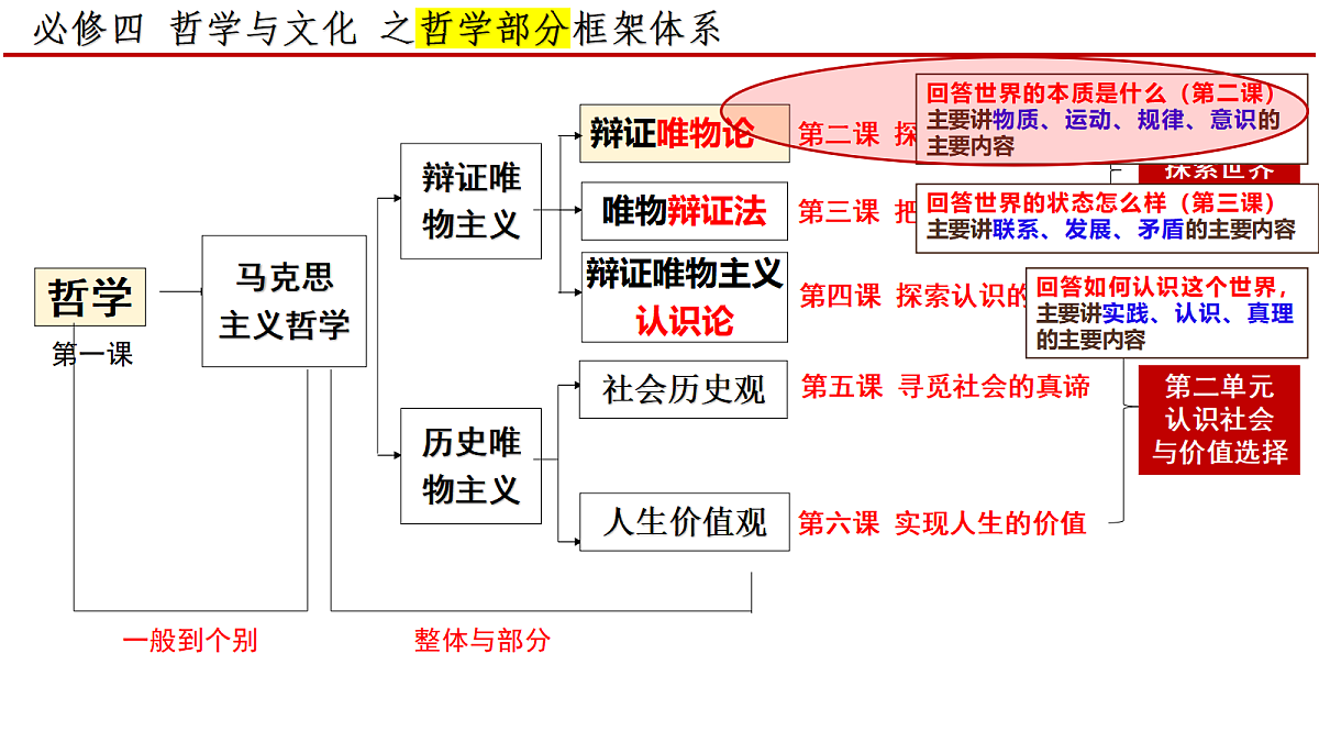 17534905第3页