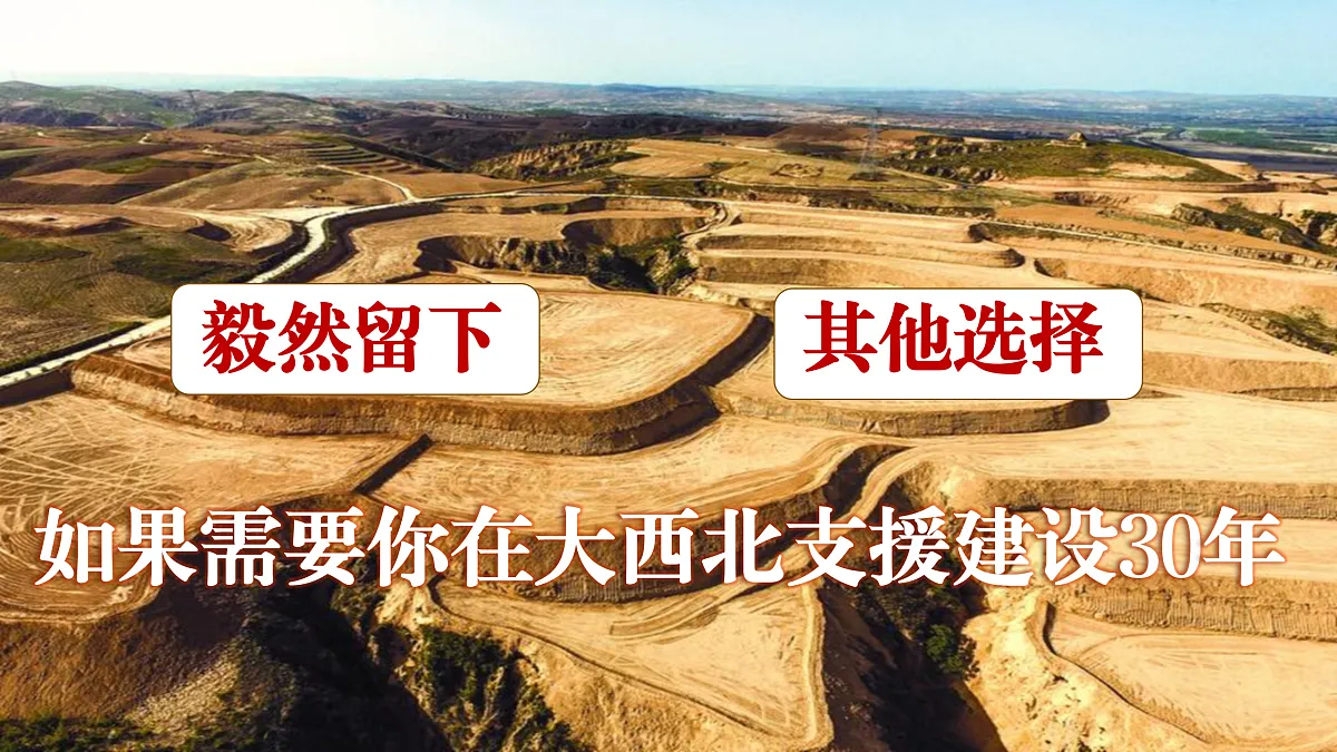 17534920第3页