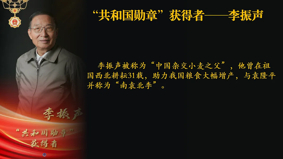 17534920第4页