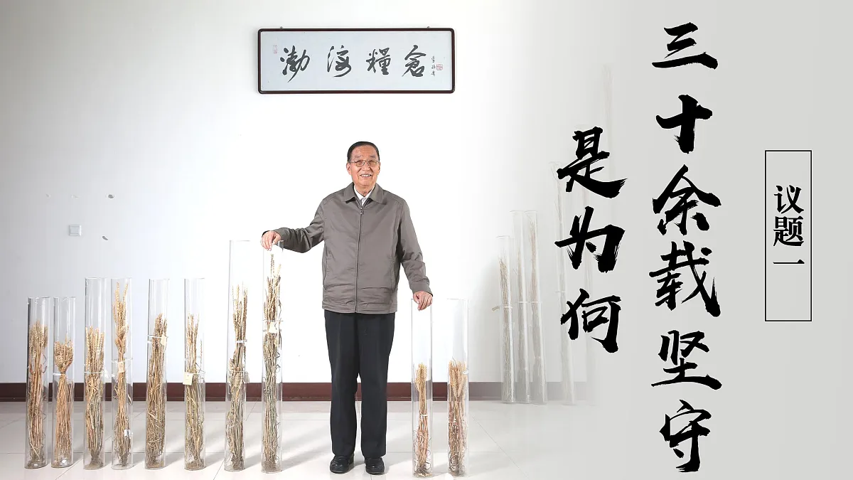 17534920第6页