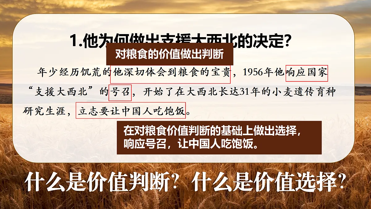 17534920第8页
