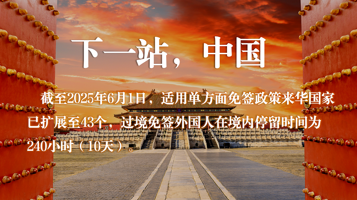 17534928第3页