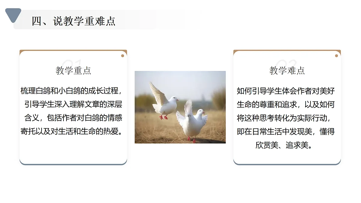 17535270第6页