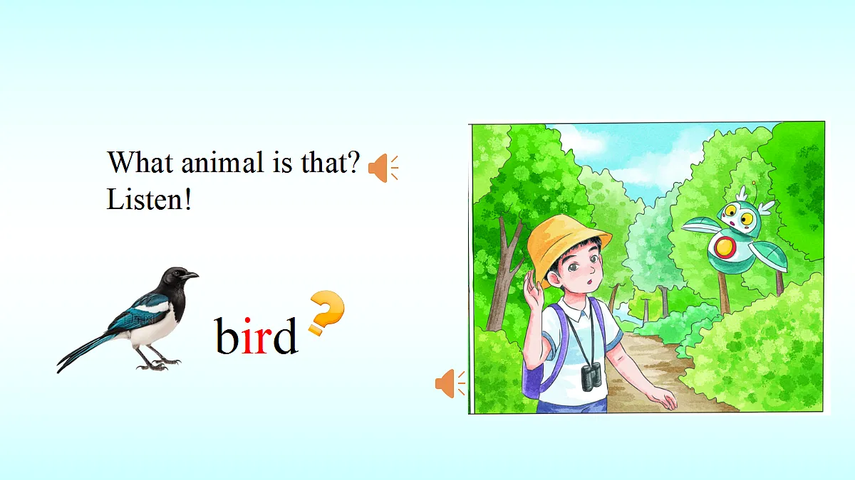 17535687第5页