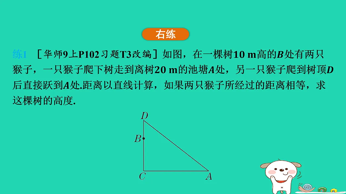 17535929第5页