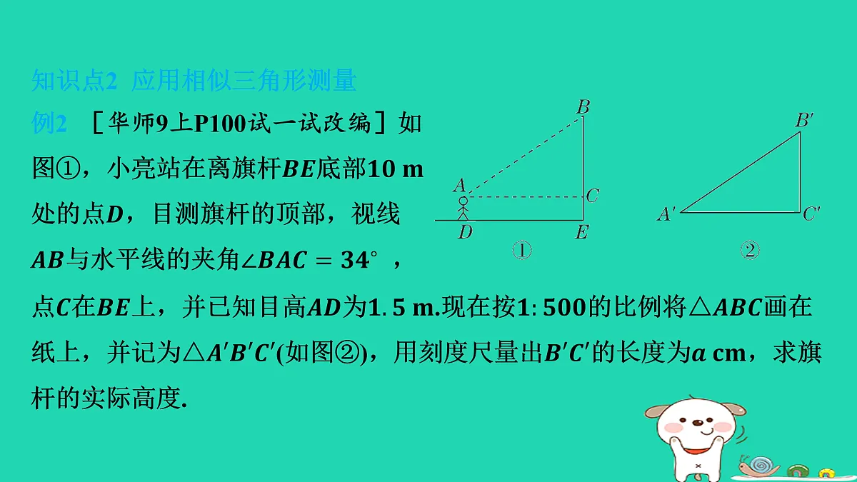 17535929第7页