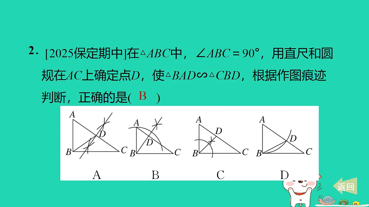 17535965第3页