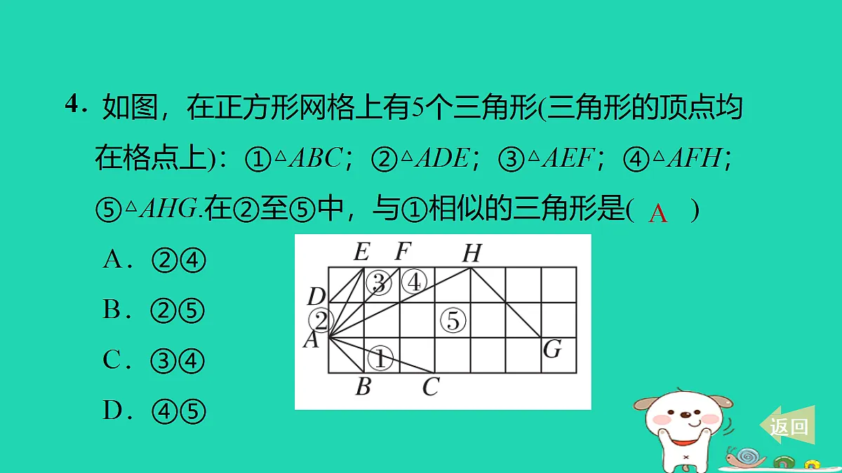 17535971第6页