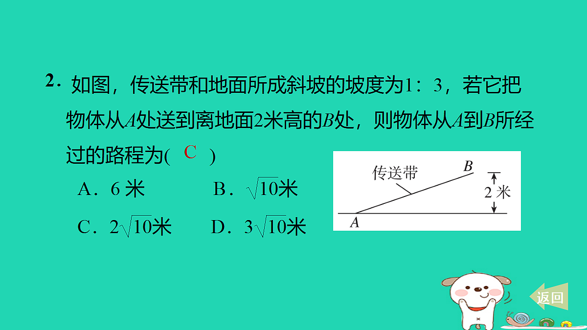 17535985第3页