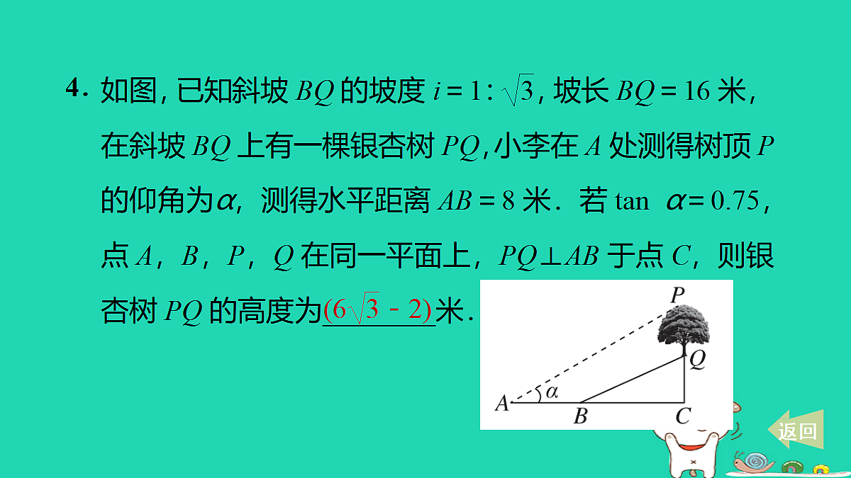 17535985第5页