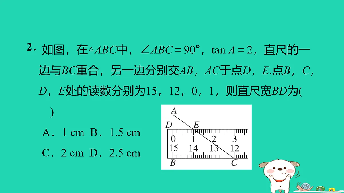 17535989第3页