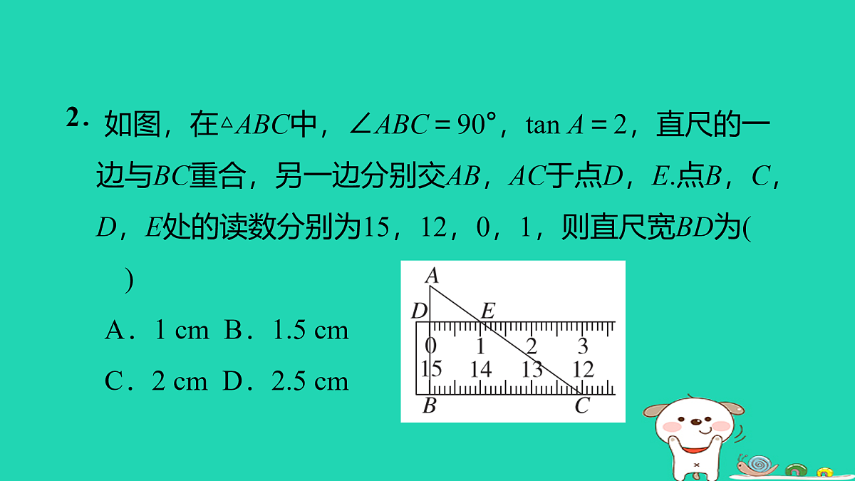 17535989第3页