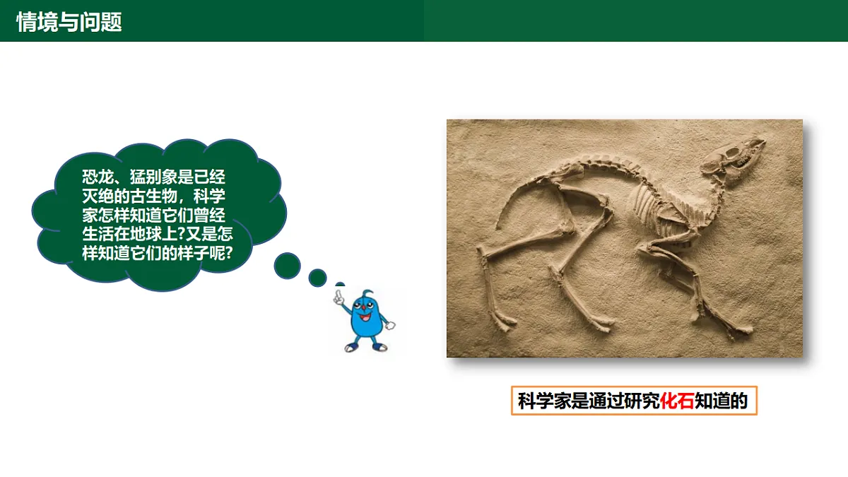 1.3《化石里的古生物》第5页