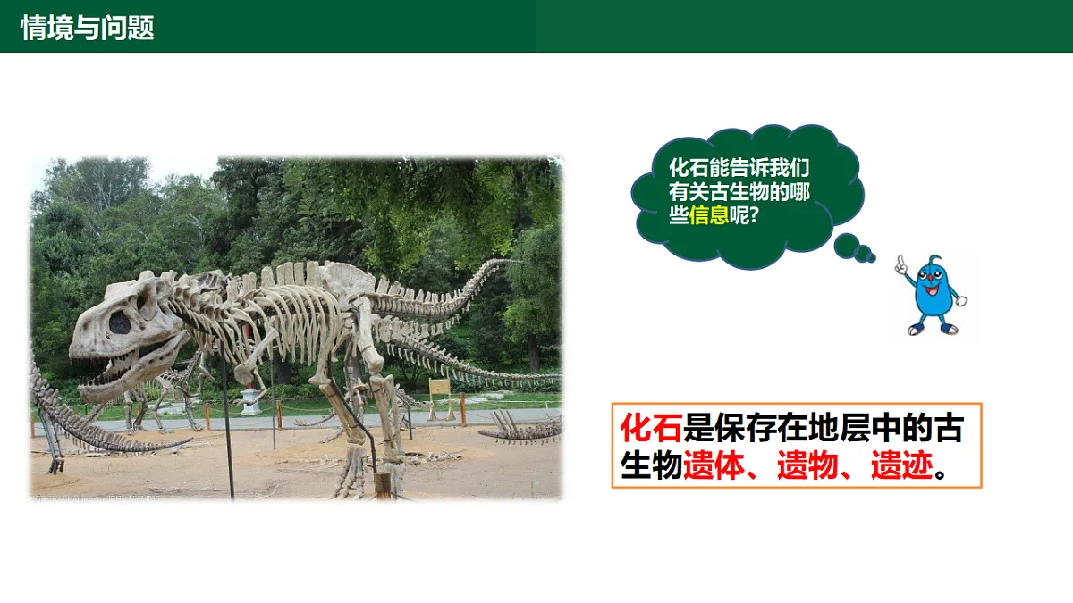 1.3《化石里的古生物》第7页