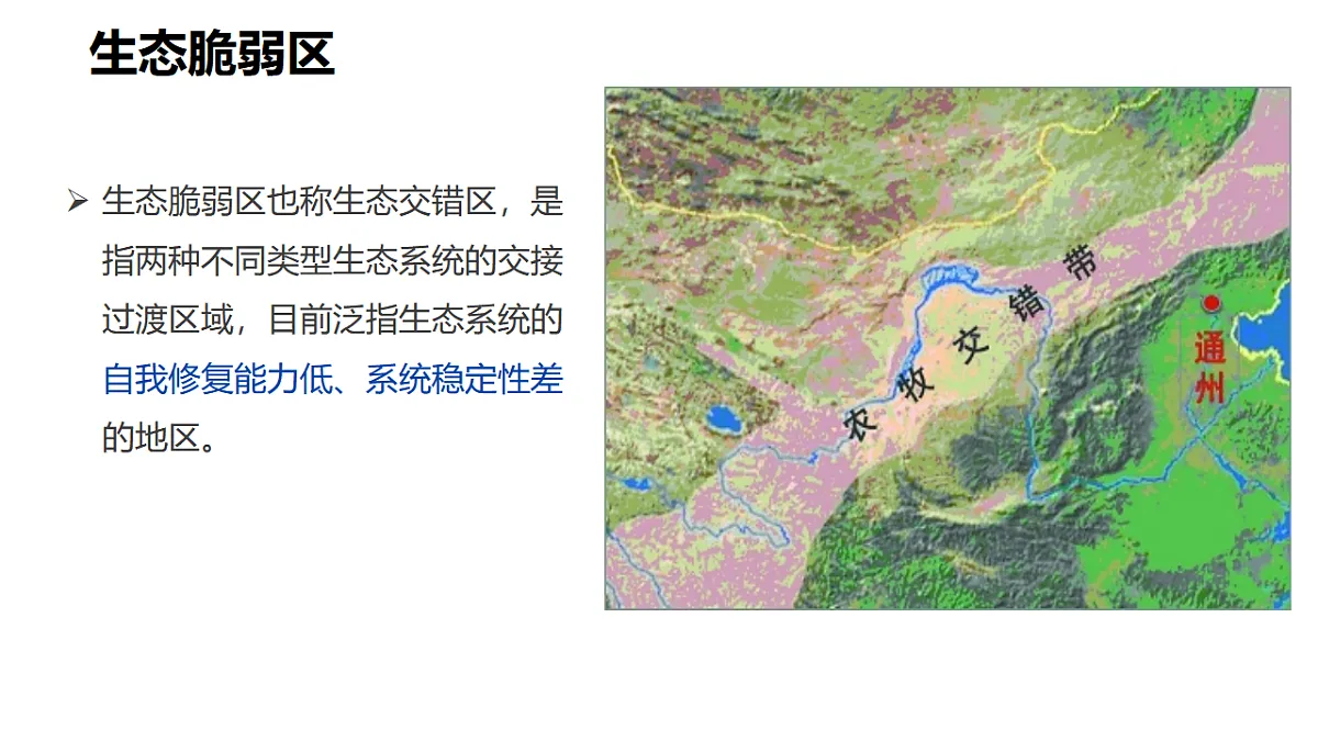 17539799第2页