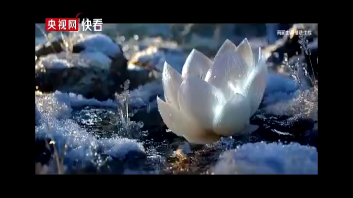 17540365第2页