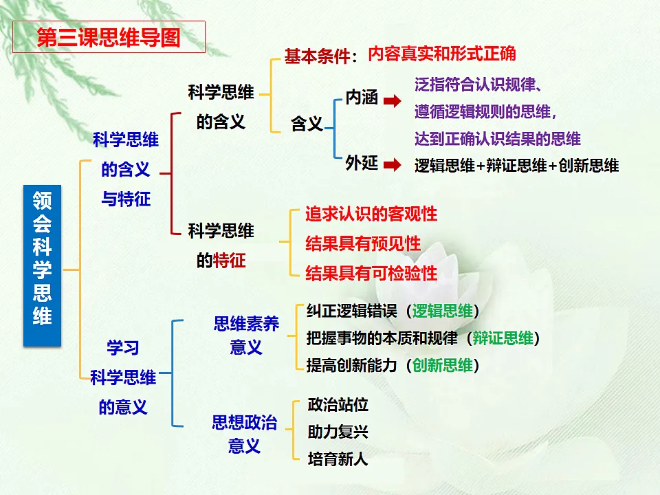 17540560第1页