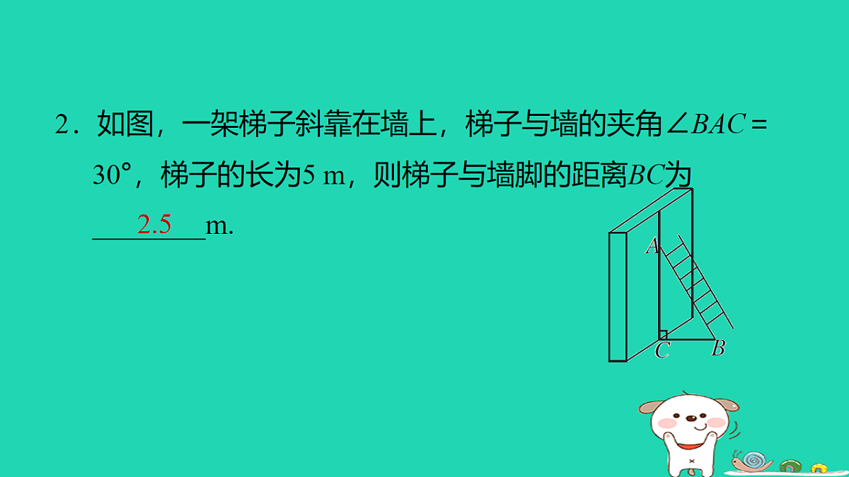 17540589第3页