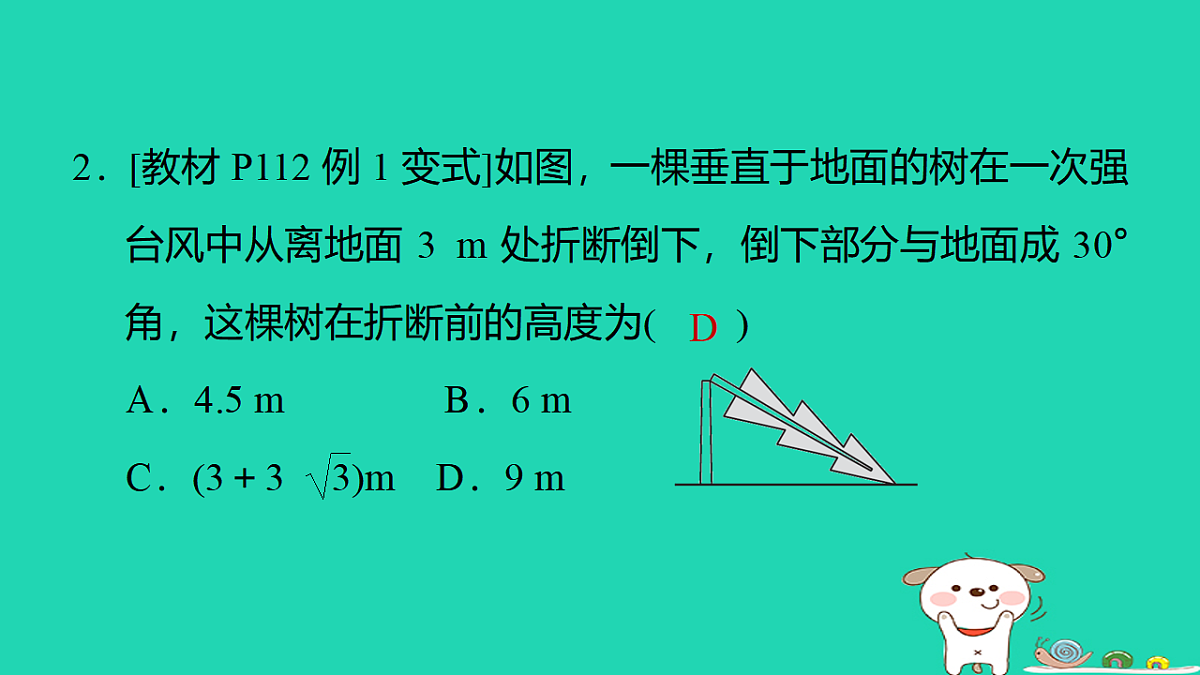 17540592第3页