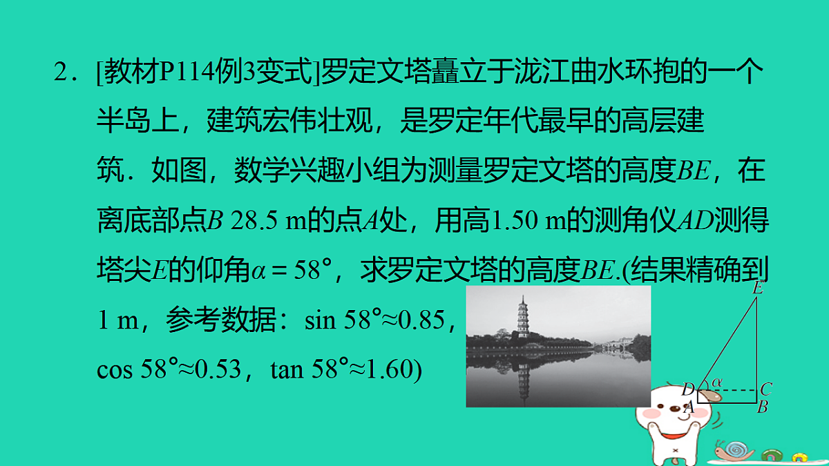 17540593第3页