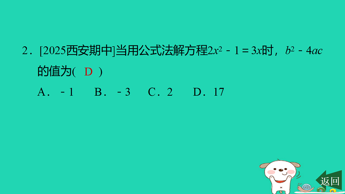 17540678第3页
