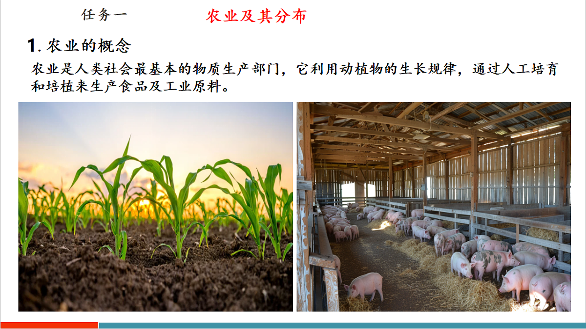 【大单元教学】第一节 农业与科技兴农 精品课件第7页