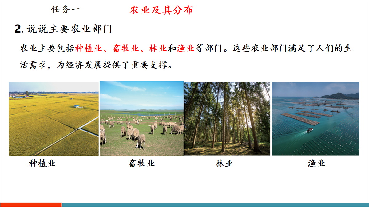 【大单元教学】第一节 农业与科技兴农 精品课件第8页