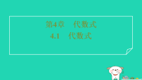 浙教版（2024）七年级上册（2024）代数式习题ppt课件