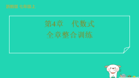 初中数学浙教版（2024）七年级上册（2024）整式练习题ppt课件