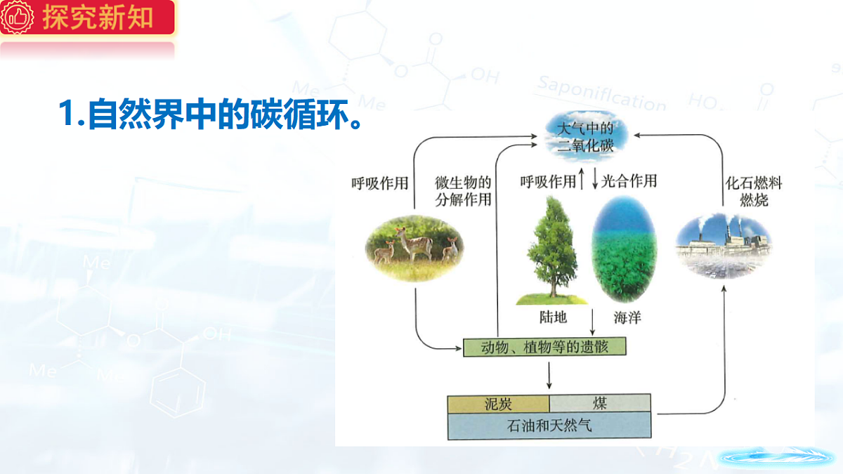 17544107第5页