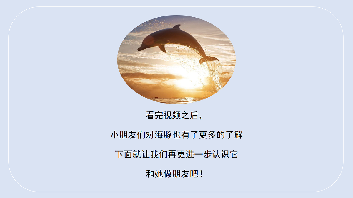 17545157第5页