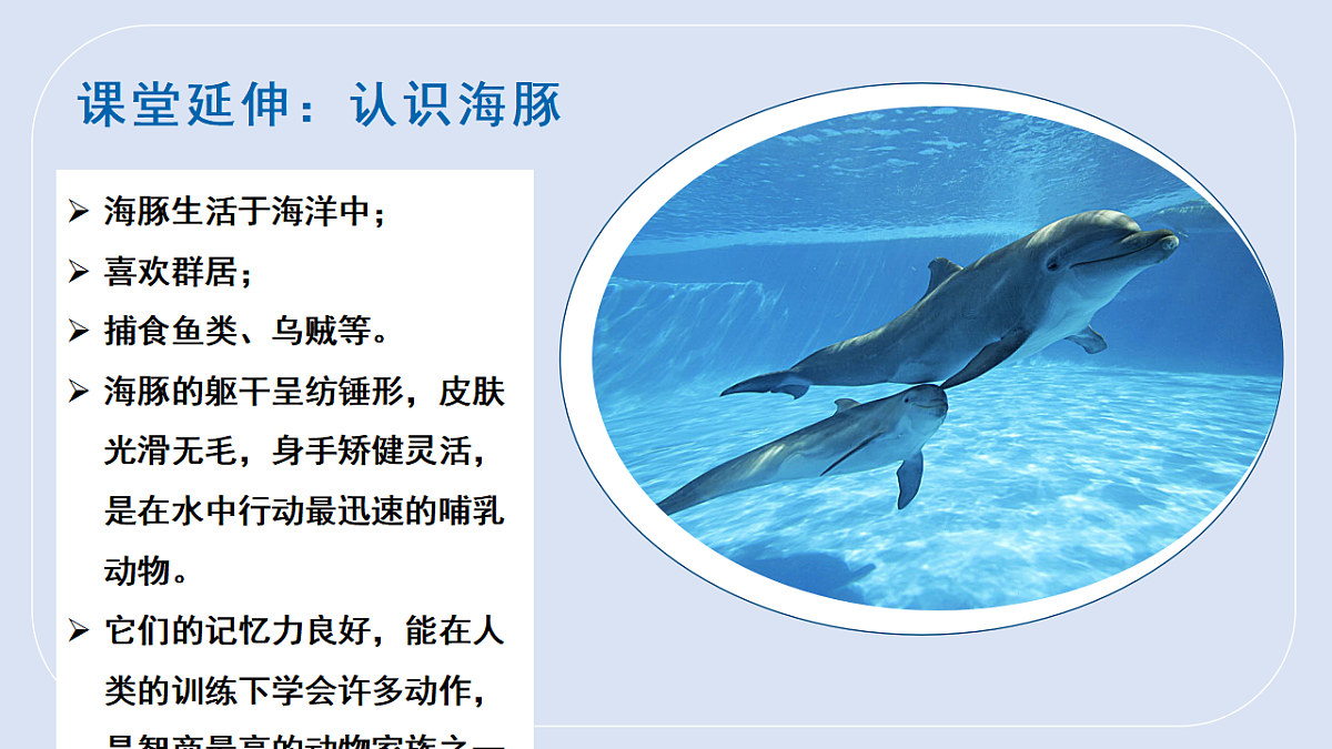 17545157第6页
