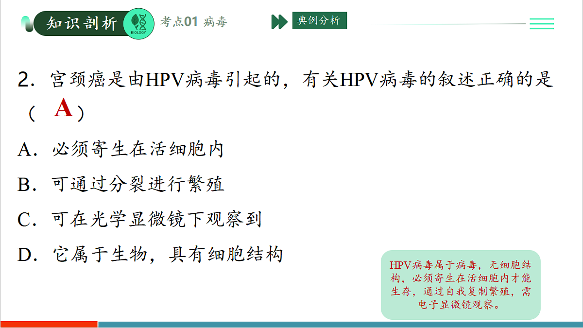 第二单元第三章 微生物主要包括病毒、细菌和真菌(复习课件)第7页