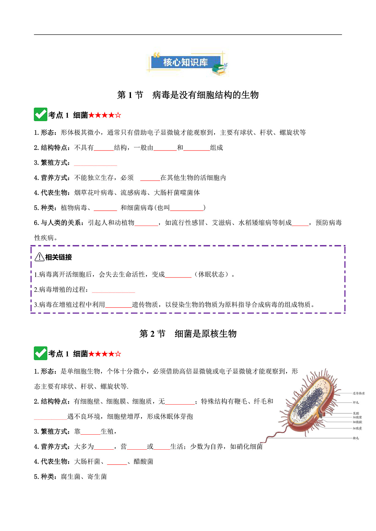 第二单元第三章 微生物主要包括病毒、细菌和真菌(知识清单)(原卷版)第3页