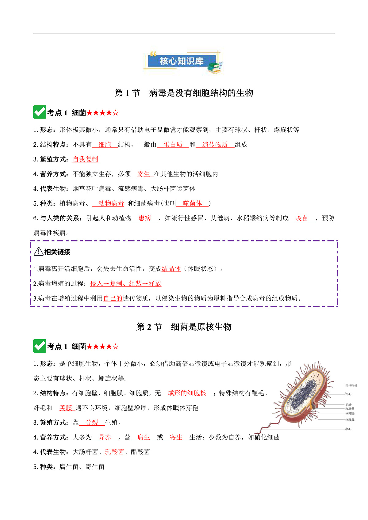 第二单元第三章 微生物主要包括病毒、细菌和真菌(知识清单)(解析版)第3页