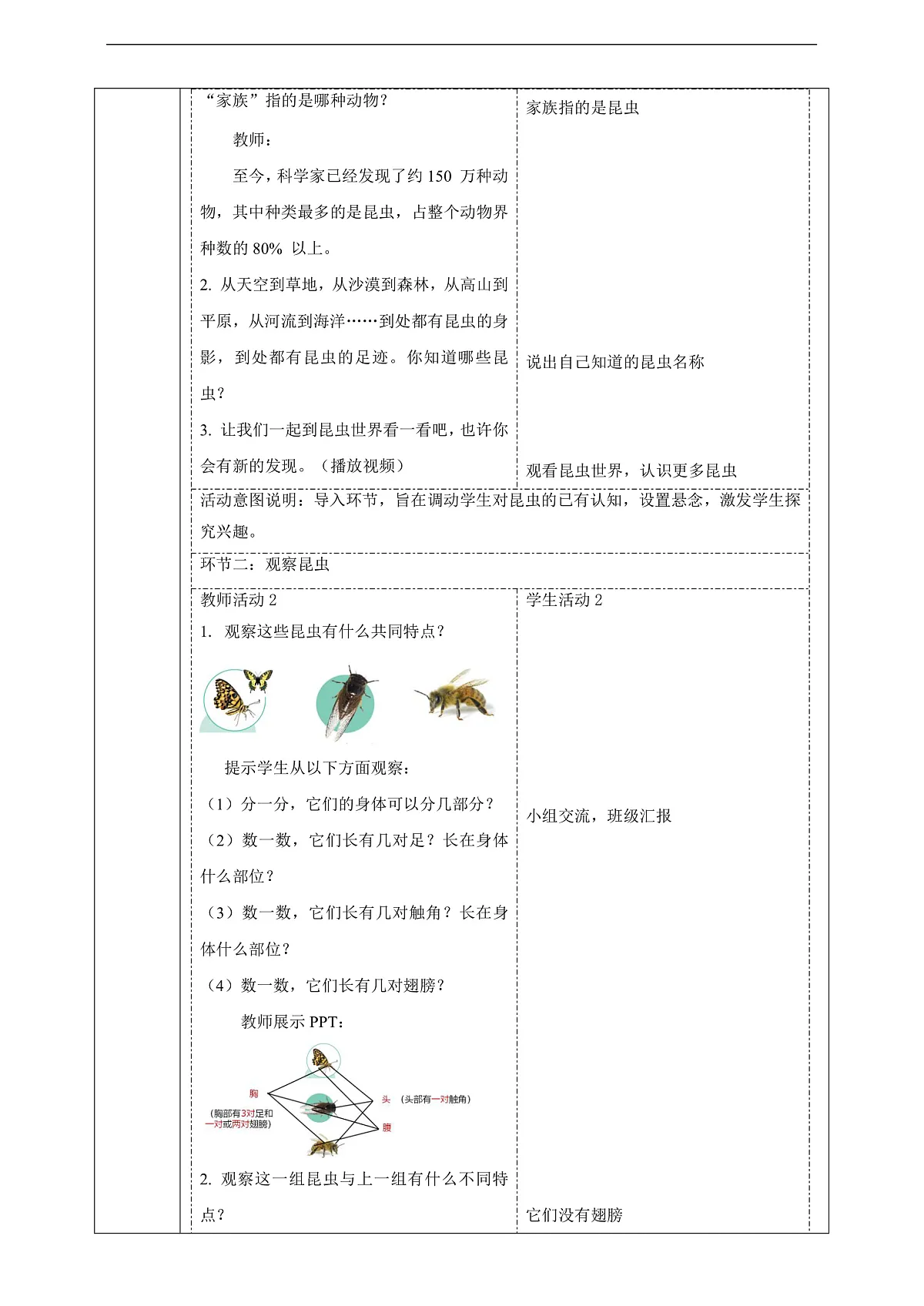 苏教版(2024)科学四下 3.9《庞大的“家族”》 教案第2页