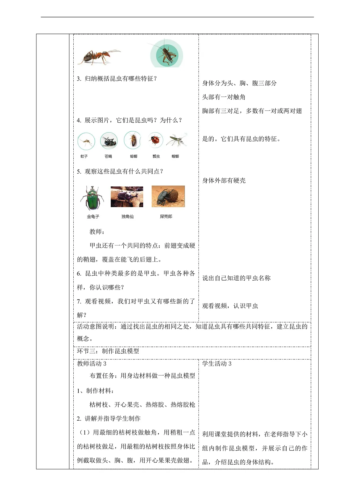 苏教版(2024)科学四下 3.9《庞大的“家族”》 教案第3页