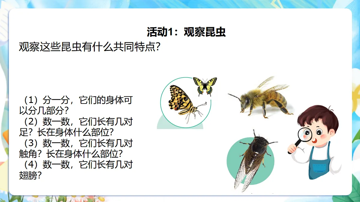 苏教版(2024)科学四下 3.9《庞大的“家族”》课时课件第6页