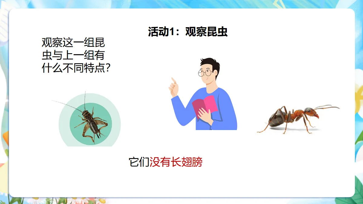 苏教版(2024)科学四下 3.9《庞大的“家族”》课时课件第8页