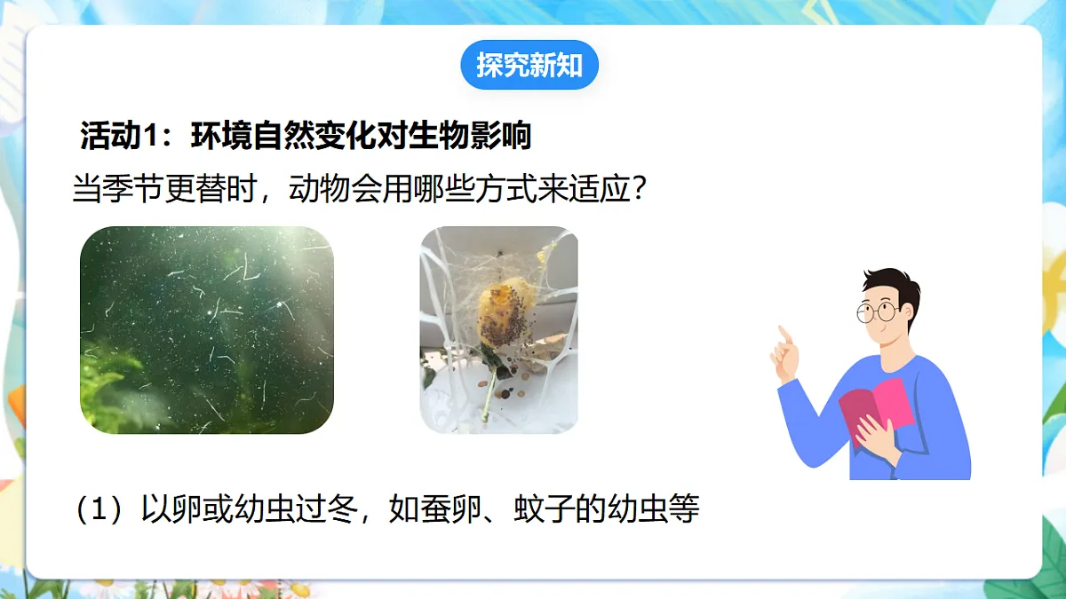 苏教版(2024)科学四下 5.17《环境变化以后》 课件 第7页